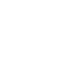 Fusion Gear